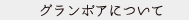 グランボアについて